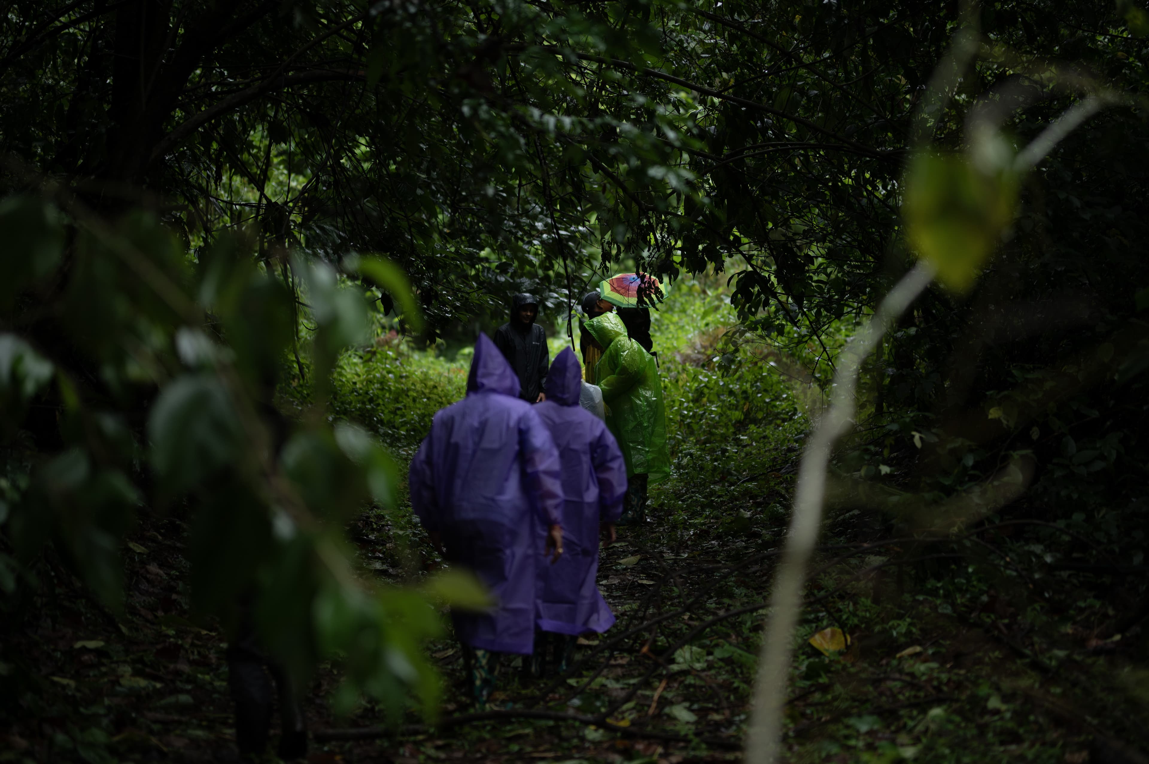 Beforest Vision - Trekking in the Rain